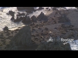 Wellington Seals and Seagulls, Aerial 2620